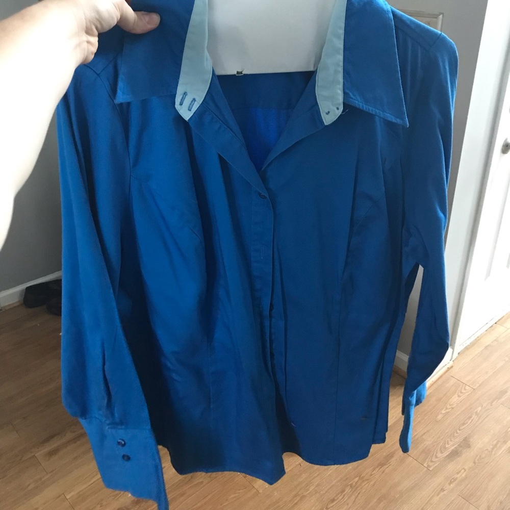 Blue and light blue lane Bryant button down blouse